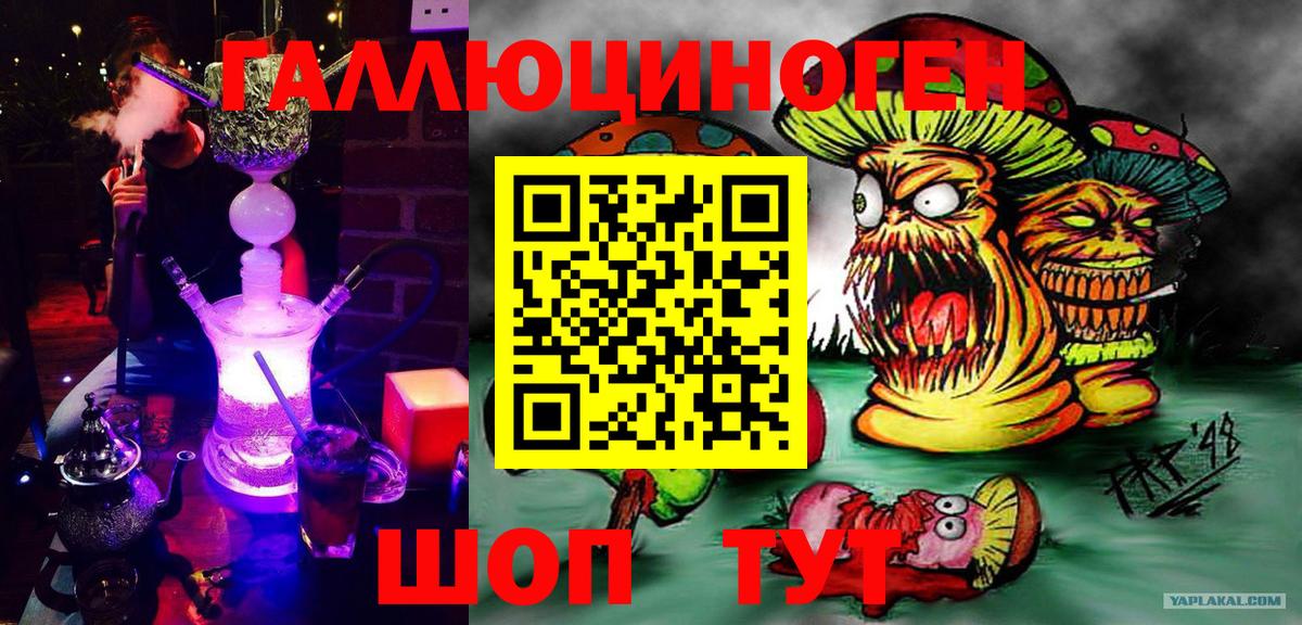 Галлюциногенные грибы Cubensis  Вход с VPN  Кисловодск 